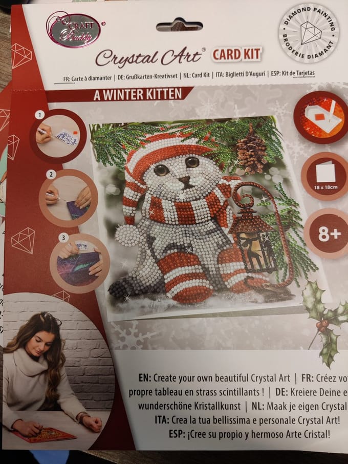 Crystal Card Kit | Diamond painting A Winter Kitten