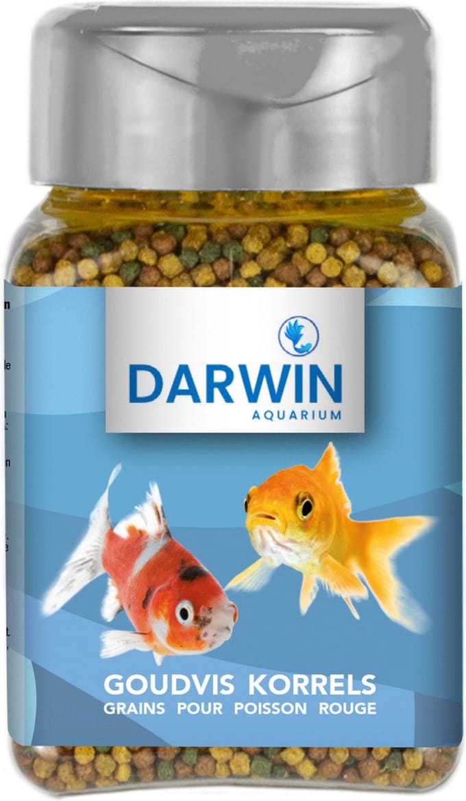 Darwin Goudvis Korrels - Vissenvoer - 100 ml