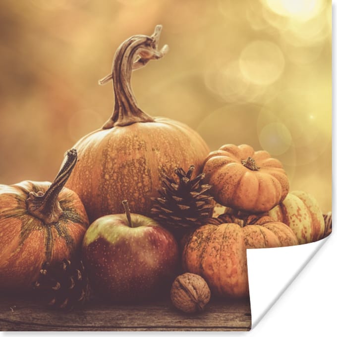 Poster Pompoen - Herfst - Dennenappel - Fruit - Appel - 30x30 cm