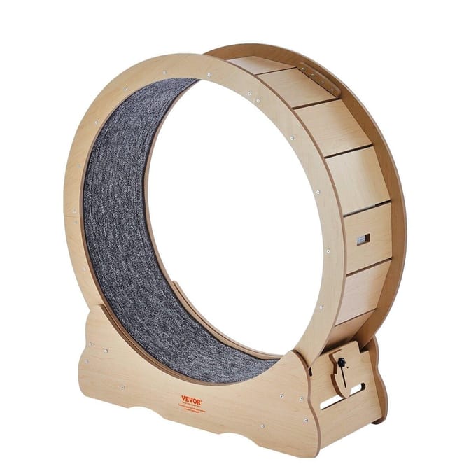 Roue d'exercice pour chat Grande roue de tapis roulant pour chat pour chats d'intérieur 35,8 pouces