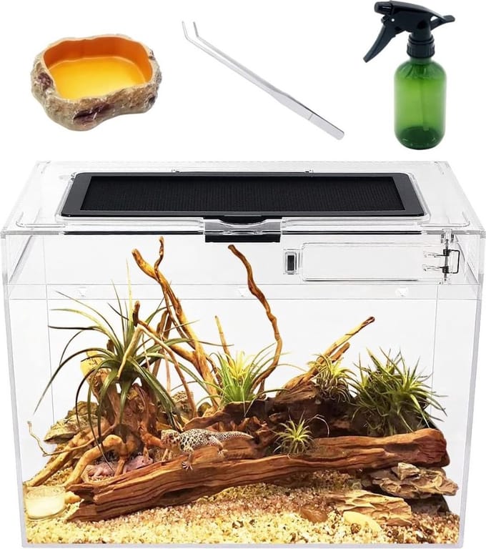 Thuys – Schildpadden Verblijf – Terrarium – Aquarium – 31cm x 19cm x 24m – Inclusief Accessoires