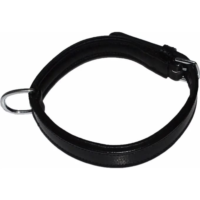 Hondenhalsband Hekktor Bor