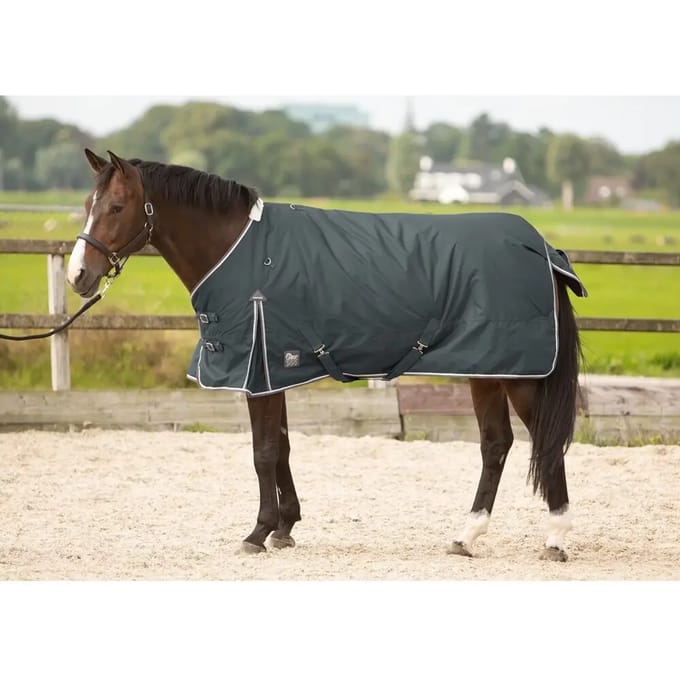 Harry's Horse Deken Thor 300gr Grijs - 125/165