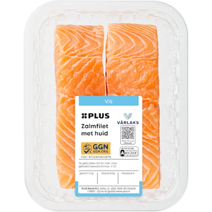 Zalmfilet met huid