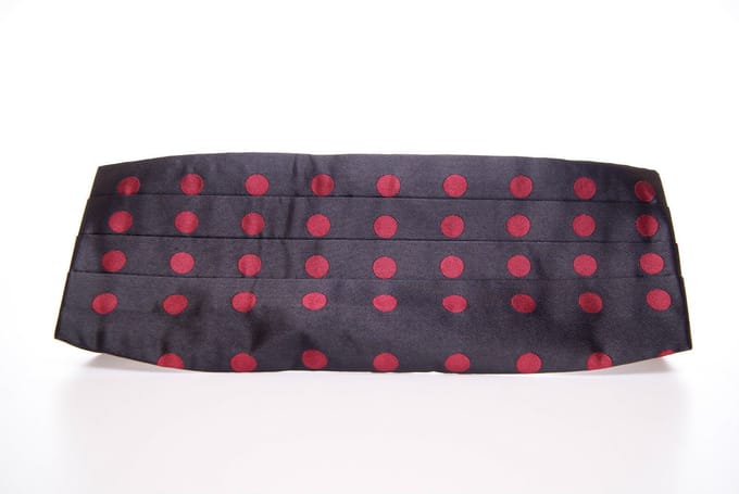 Polka Dot Ceintuur met Verstelbare Band