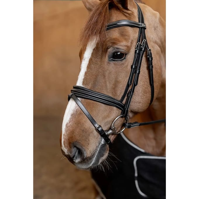 Anatomisch hoofdstel HFI Padded
