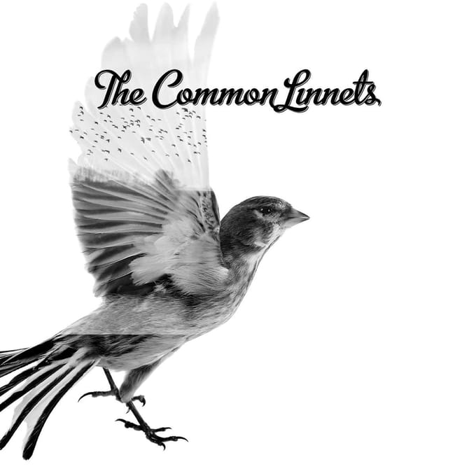 The Common Linnets - The Common Linnets (2 CD) (Special Edition) (Limited Deluxe Edition)