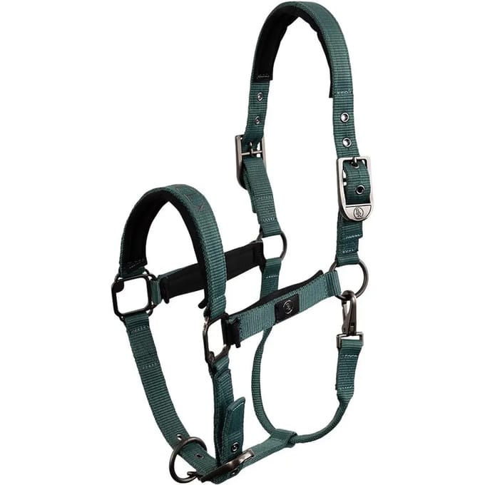 Halster voor paarden BR Equitation CLX