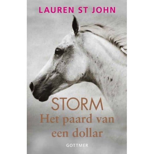 Het Paard Van Een Dollar - Storm - Lauren St John