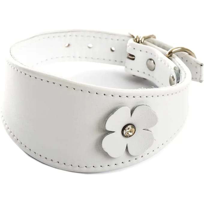 Hondenhalsband Sellerie Canine Vendéenne Lev Tref
