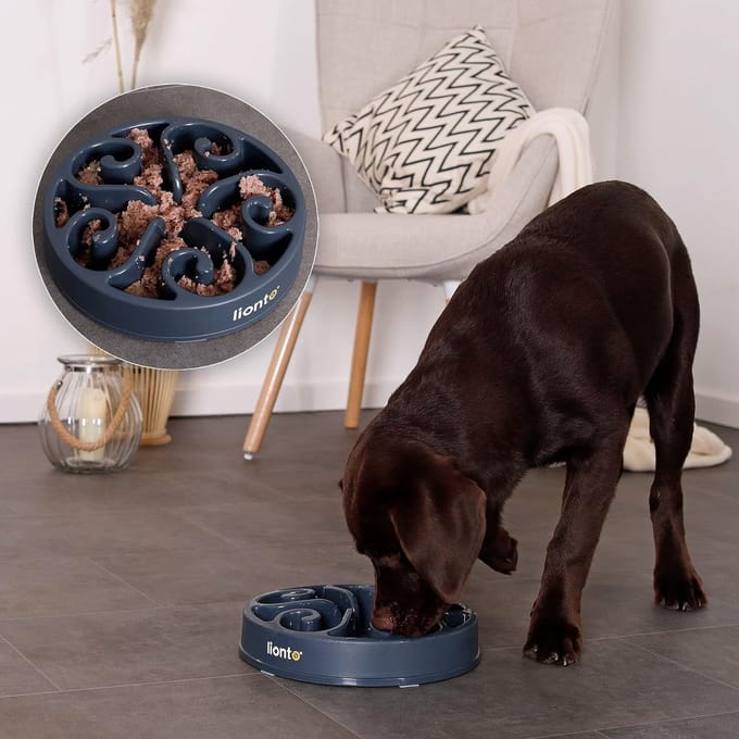 Antischrokbak voor Honden en Katten - Ø 30 cm, Antislip, Vaatwasserbestendig