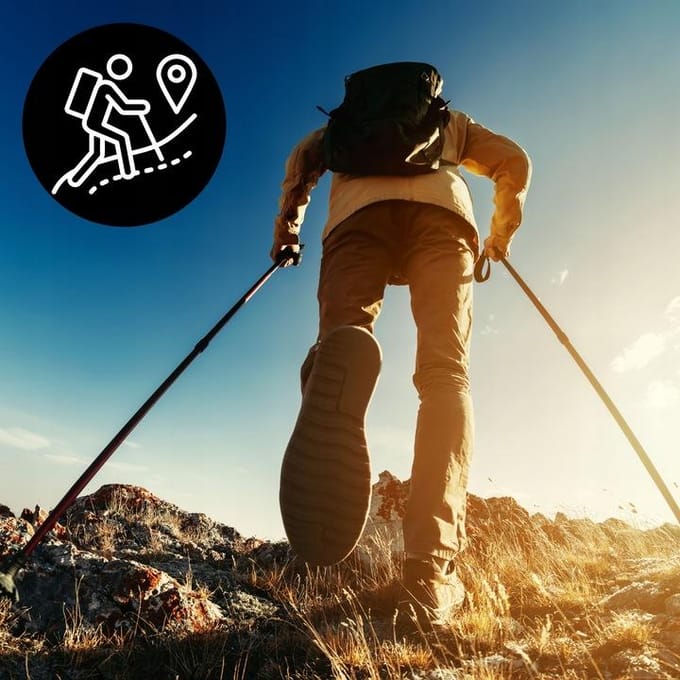 Verstelbare trekkingstokken Nordic Walking - Anti-Shock, opvouwbaar