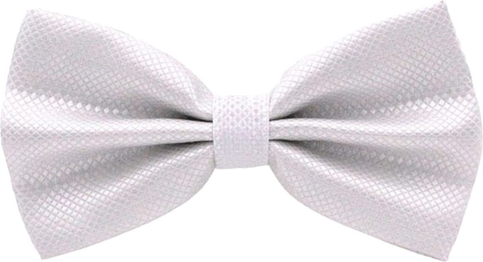 Fako Fashion® - Vlinderstrik - Vlinderdas - Strik - Kleine Ruit - 12cm - Wit