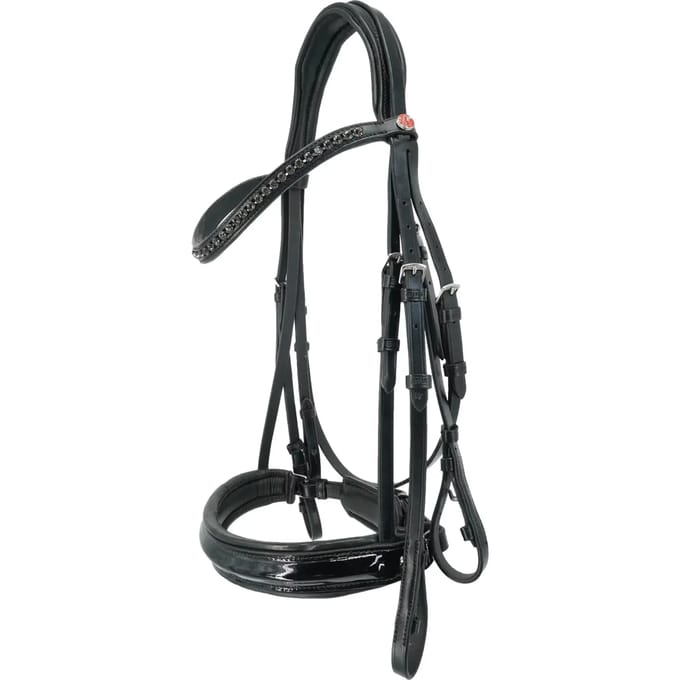 Dubbel hoofdstel Kieffer Paris with square chrome buckles