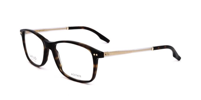 Safilo TRATTO 01 Havana crystal 55/17/145 MAN Brilmonturen