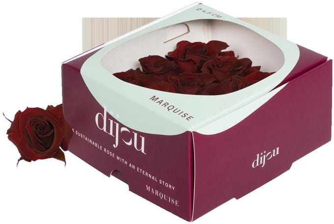 9x Dc pres.rozen dark amber