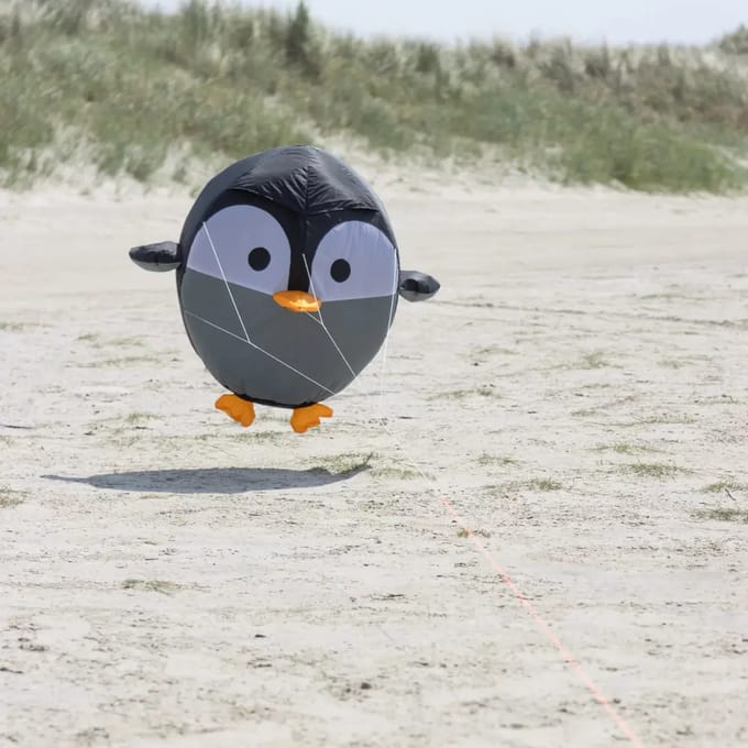 Windzak HQ Bouncing Birdeez Penguin 60 cm 126320 Zwart 60 cm