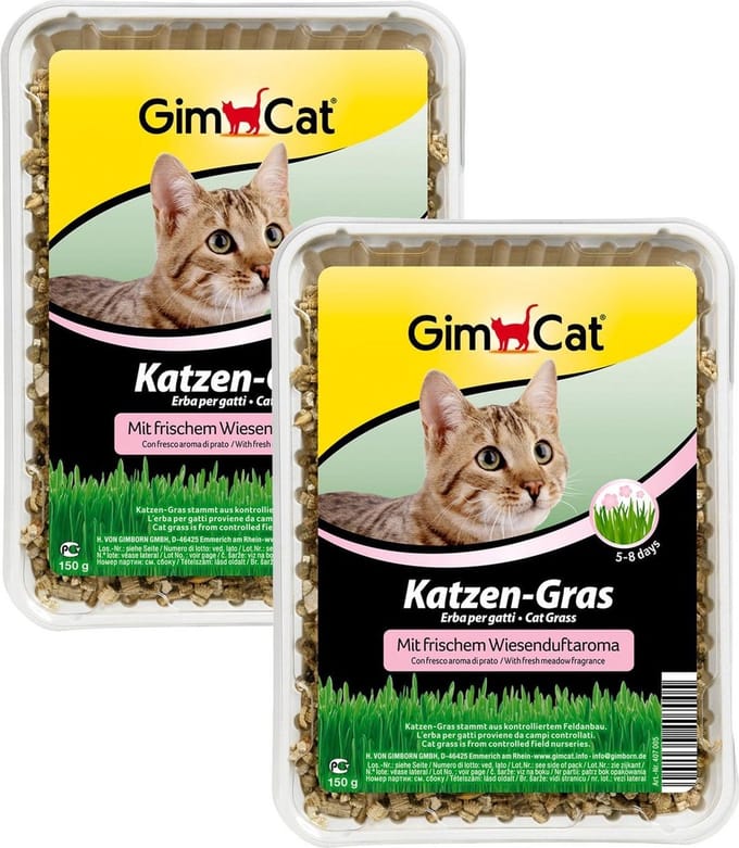 Gimpet Kattengras - 2 x 150 g
