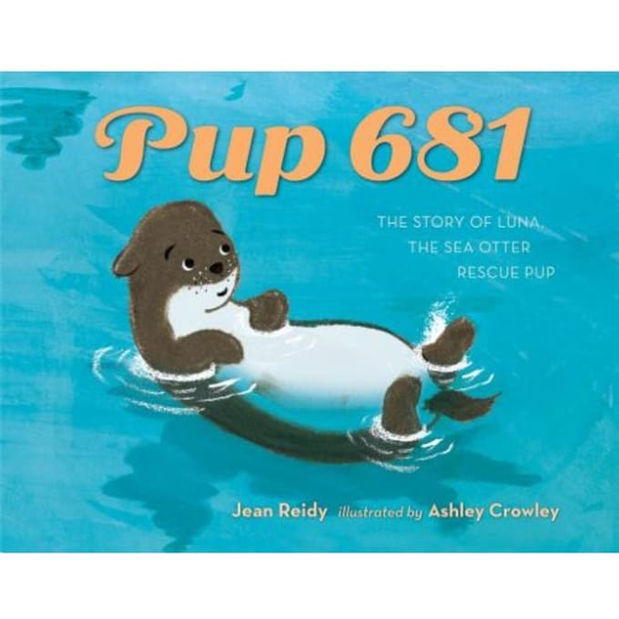 Pup 681 - Jean Reidy