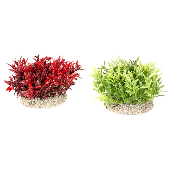 Aquarium planten decoratie Aqua Della Miracle Moss