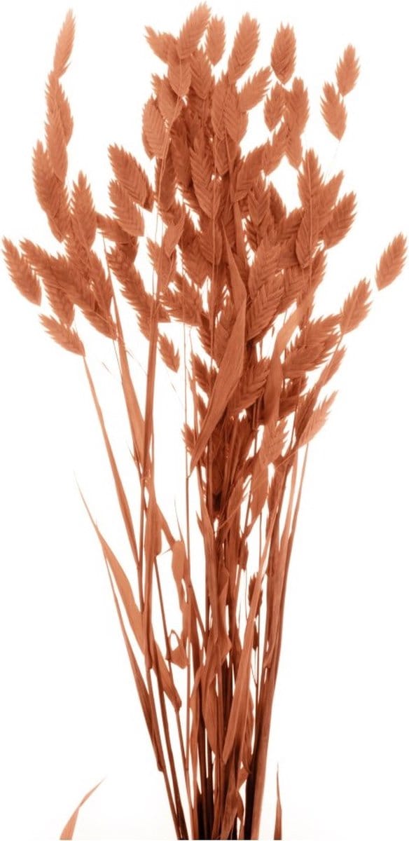 Boeket van gedroogde bloemen Artemio