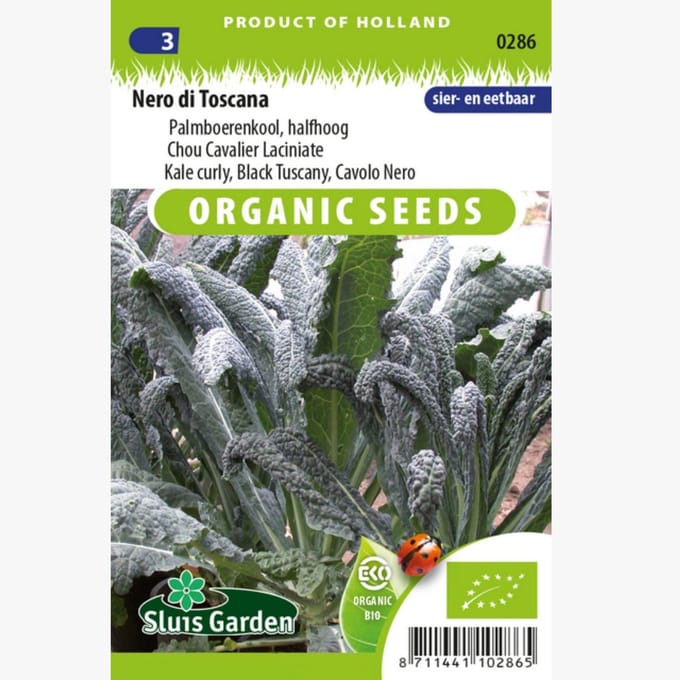 Sluis Garden - Palmboerenkool Nero di Toscana Biologisch