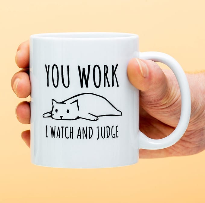 Ditverzinjeniet.nl Mok You work kat