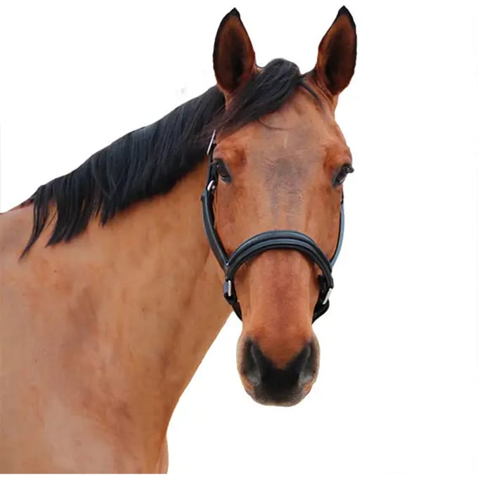 Halster voor paarden Canter Mylord