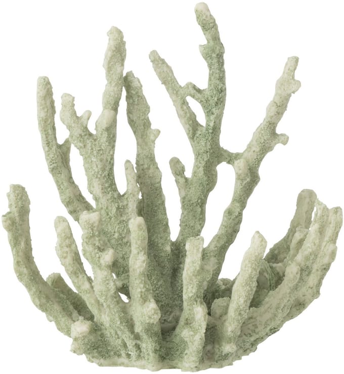 J-Line decoratie Koraal - polyresin - muntgroen - medium - 3 stuks