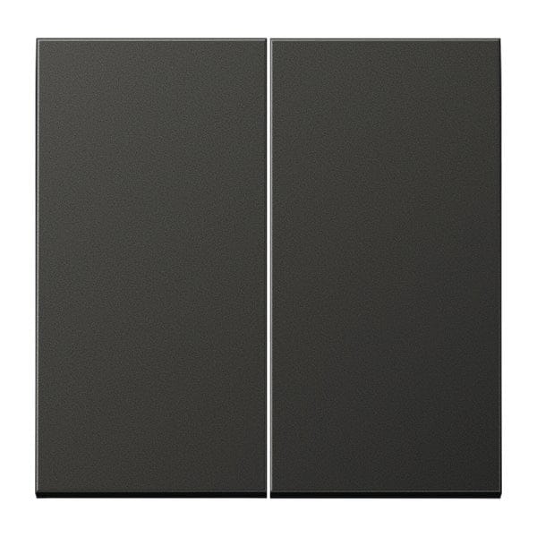 Jung LS-bereik Bedieningselement/Centrale Plaat schakelkast - AL2995AN - E29ZN