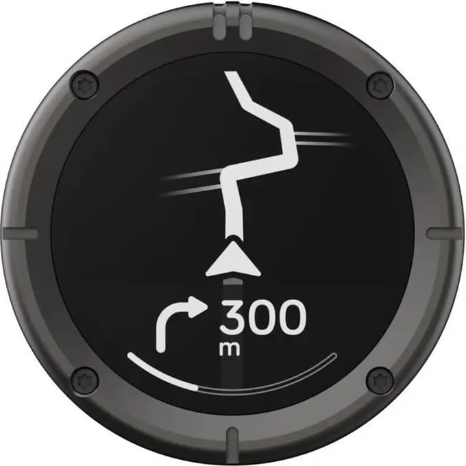 GPS Beeline