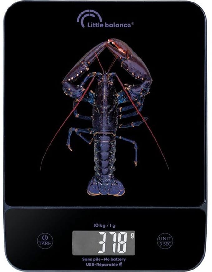 LITTLE BALANCE – 8710 – Keukenweegschaal – 10 kg – 1 g