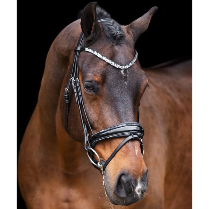 Hoofdstellen Imperial Riding Olympia