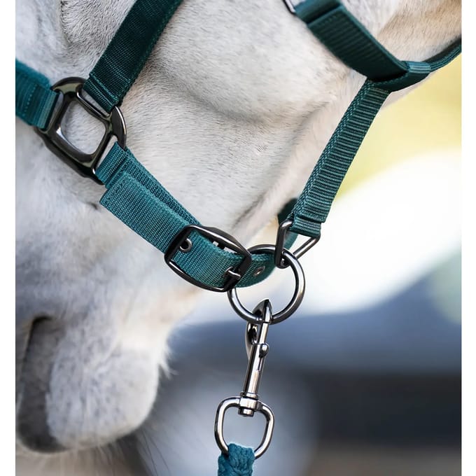 Nylon paardenhalster Horseware