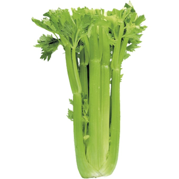 Bleekselderij
