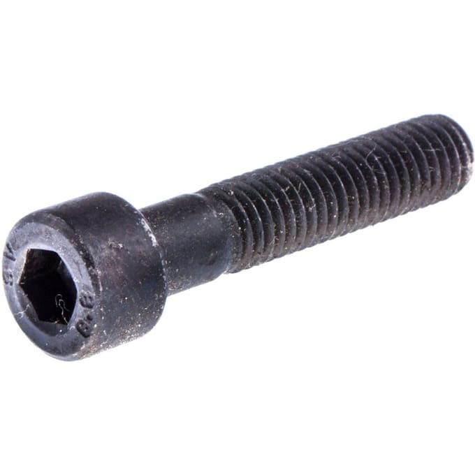 Screw