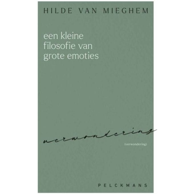 Een Kleine Filosofie Van Grote Emoties - Hilde van Mieghem