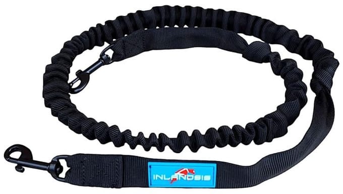 Hond Leash voor Kleine Honden