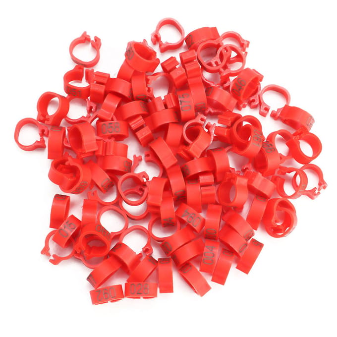 Lot de 100 bagues en plastique numérotées de 8 mm, 001 à 100, pour pattes de pigeon(rouge) rouge