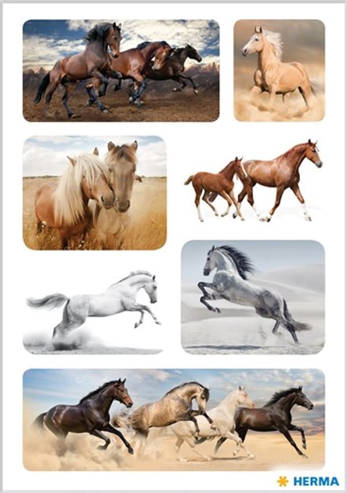 Haza Original Stickers Paarden 3 Vellen