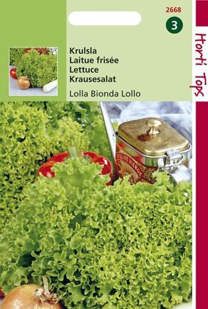 Hortitops Zaden - Krulsla Lollo Bionda