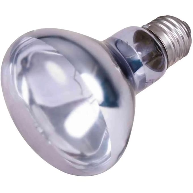 Neodymium puntverwarmingslampen voor terrariums Trixie