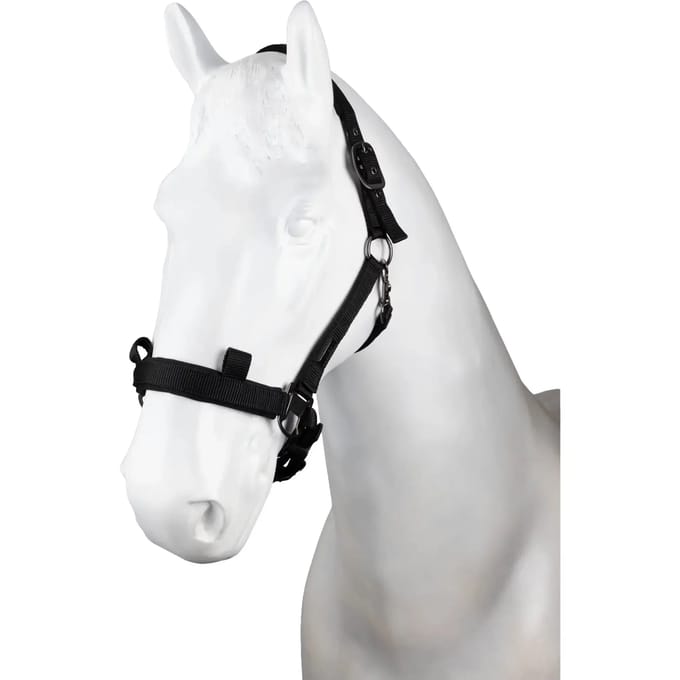 Nylon halster Horze Control