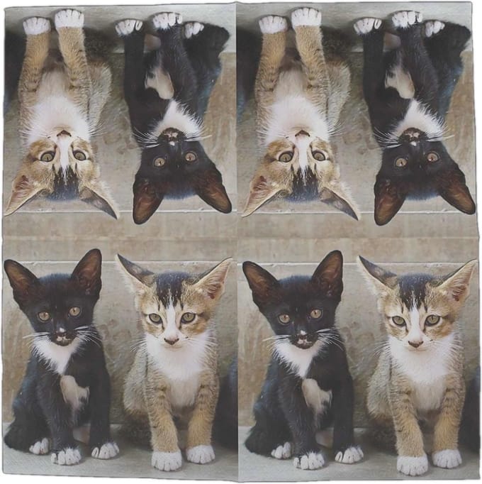 Lunch servetten Kittens - Esschert Design - 33x33 cm