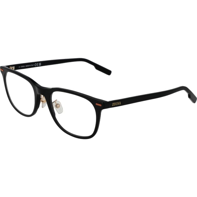 Ermenegildo Zegna Brilvorm EZ5248-H 001 53