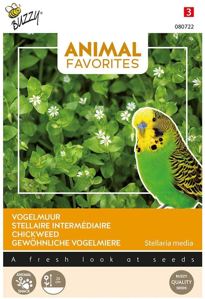 Vogelmuur