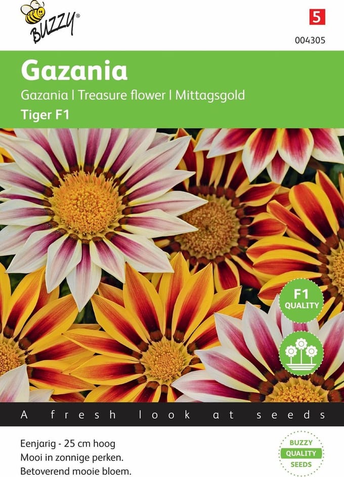 Buzzy® Gazania splendens Tiger Mixed