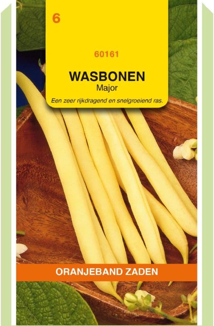 Stam (lage) Major zwartzadig