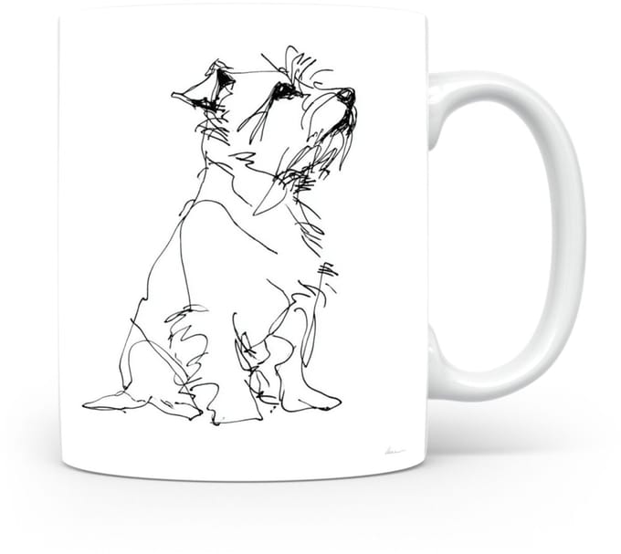 Beker Norfolk Terrier