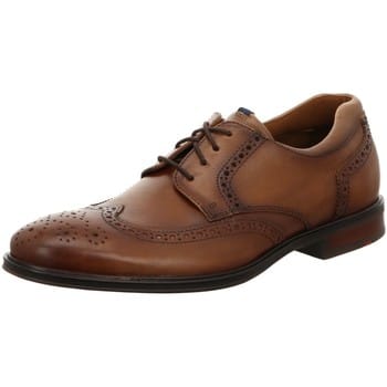 Nette Schoenen Lloyd -